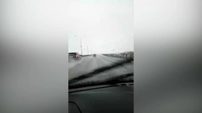 В четверг утром в Петербурге выпал снег - piter.tv - Санкт-Петербург