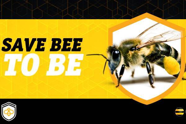 В России запустили платформу для спасения пчел от массовой гибели - abnews.ru - Россия - Москва