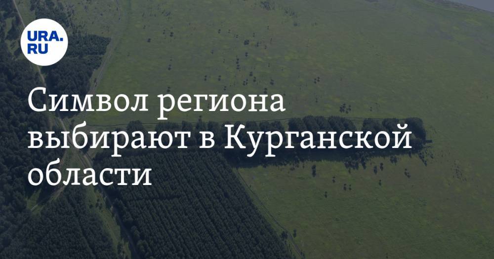 Владимир Ленин - Символ региона выбирают в Курганской области. В лидерах — озеро и лес к 100-летию Ленина - ura.news - Курганская обл.
