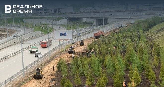 На Аметьевкой магистрали в Казани высадили больше двух тысяч деревьев - realnoevremya.ru - Казань