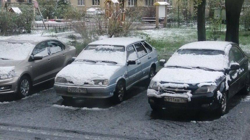 Михаил Леус - Видео: В Петербурге в середине мая выпал мокрый снег - 5-tv.ru - Санкт-Петербург