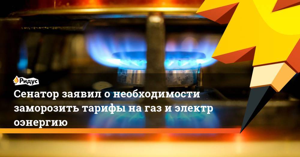 Андрей Белоусов - Сергей Леонов - Сенатор заявил онеобходимости заморозить тарифы нагаз иэлектроэнергию - ridus.ru - Россия