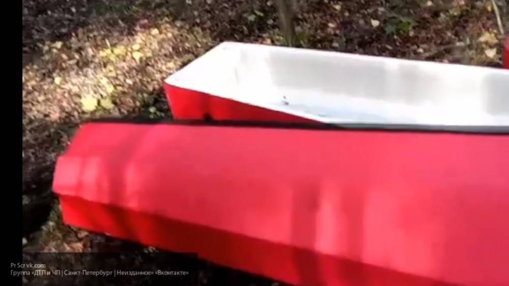 Вадим Наумов - Мертвый индонезиец помахал рукой на камеру во время похорон - nation-news.ru - Индонезия