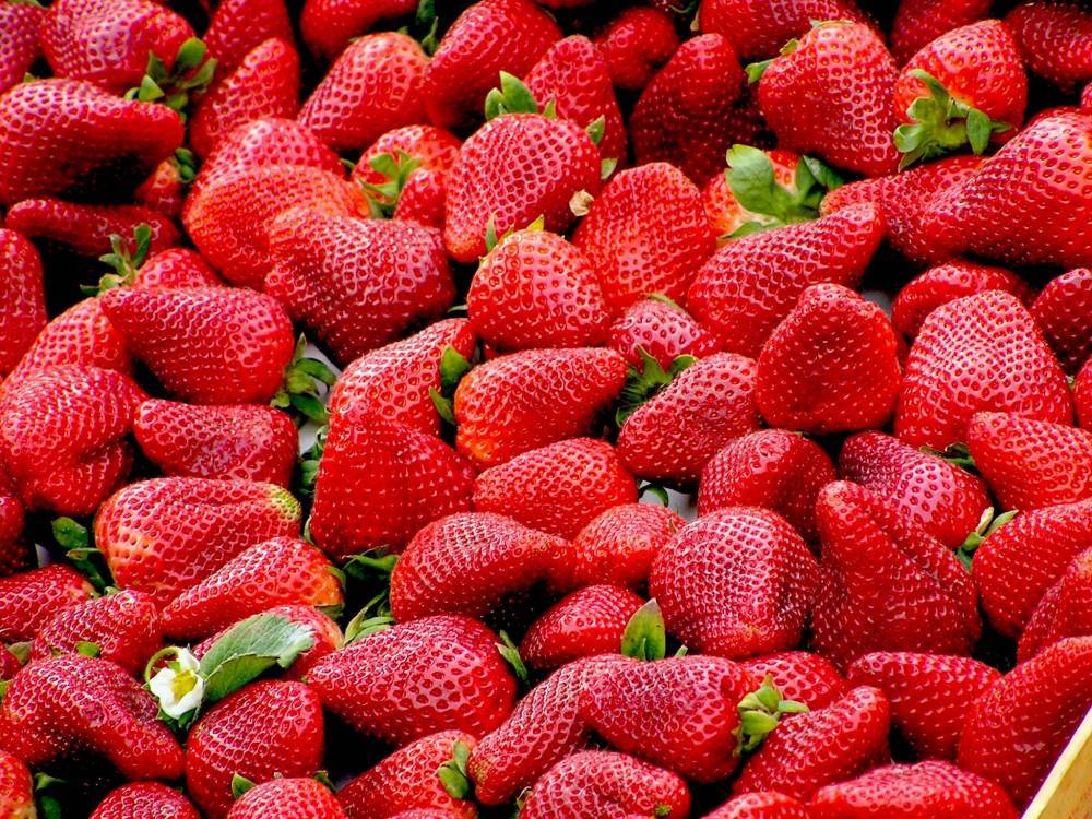 Антонина Стародубова - Диетолог назвала укрепляющие иммунитет продукты - vm.ru