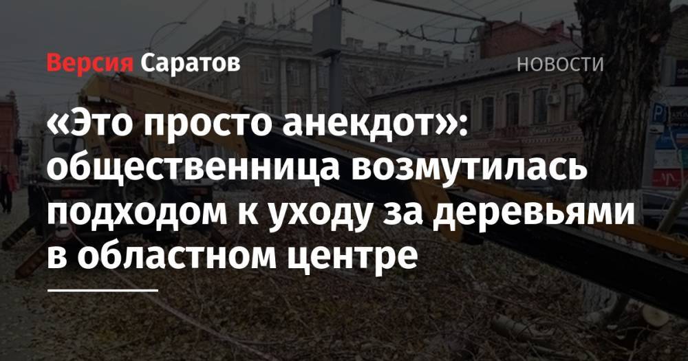 Михаил Исаев - «Это просто анекдот»: общественница возмутилась подходом к уходу за деревьями в областном центре - nversia.ru