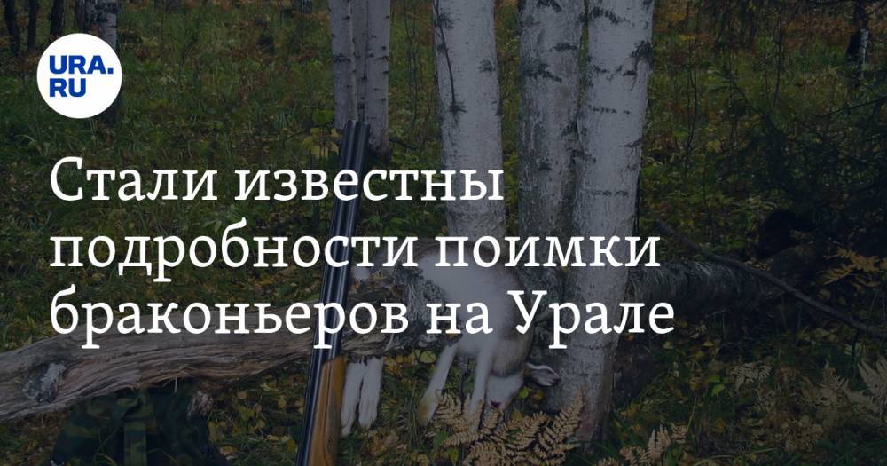 Денис Паслер - Стали известны подробности поимки браконьеров на Урале. «Ходили слухи про брата Паслера» - ura.news - Свердловская обл. - Оренбургская обл. - Североуральск