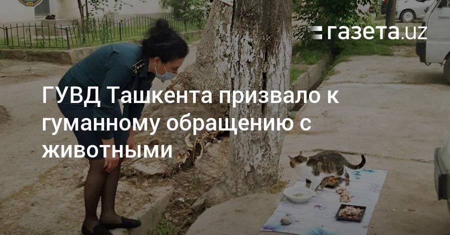 ГУВД Ташкента призвало к гуманному обращению с животными - gazeta.uz - Ташкент