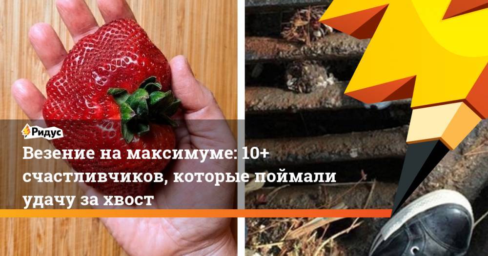 Везение намаксимуме: 10+ счастливчиков, которые поймали удачу захвост - ridus.ru