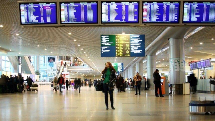 В Ингушетии ищут причастную к теракту в «Домодедово» банду - 5-tv.ru - Москва - респ. Ингушетия - респ. Чечня