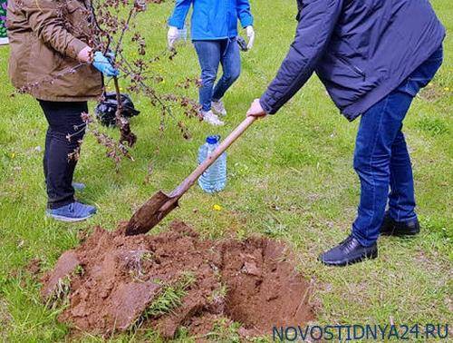 Россияне посадили деревья и превратились в экстремистов - novostidnya24.ru - Екатеринбург - Уральск