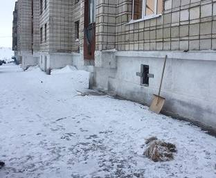В Воркуте осудили иностранца, который выбросил собаку из окна - bnkomi.ru - Россия - респ. Коми