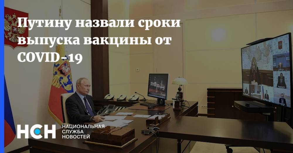 Владимир Путин - Ринат Максютов - Путину назвали сроки выпуска вакцины от COVID-19 - nsn.fm - Россия