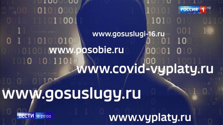 Десятки фейковых сайтов о выплатах пособий на детей: как распознать обман - vesti.ru