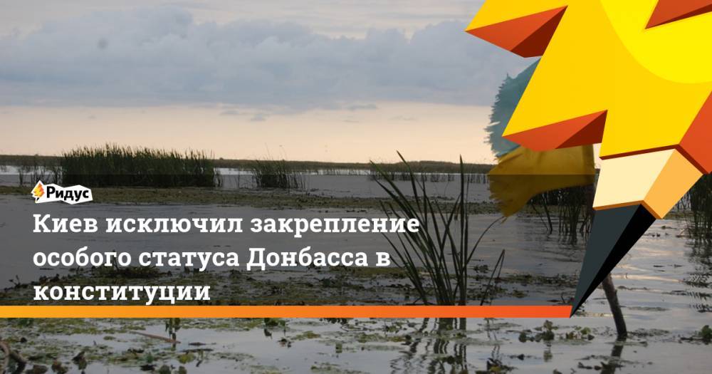 Владимир Зеленский - Киев исключил закрепление особого статуса Донбасса в конституции - ridus.ru - Украина - Киев - Луганская обл. - Донецкая обл.