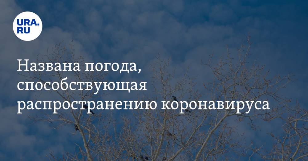 Татьяна Позднякова - Названа погода, способствующая распространению коронавируса - ura.news - Китай - Нью-Йорк - Испания - USA - Мадрид - шт. Мэриленд - Ухань