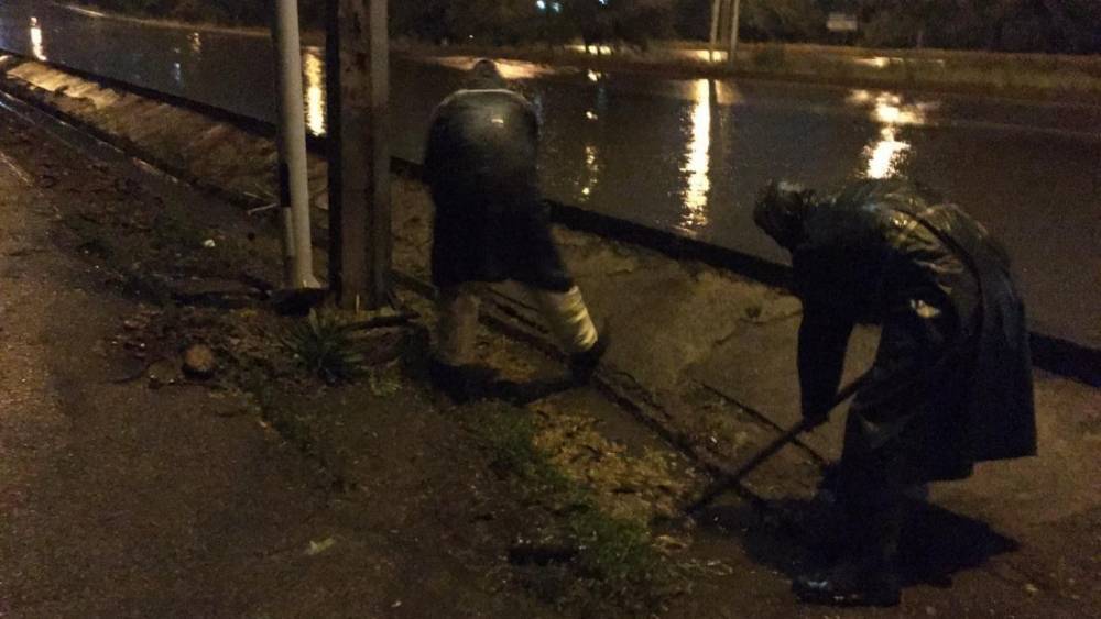 Ливень и ветер в Алматы: упали деревья, подтопило дворы - zakon.kz - Алма-Ата