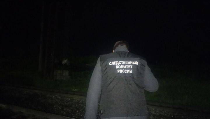 В Муроме 13-летний "зацепер" упал под колеса поезда - vesti.ru