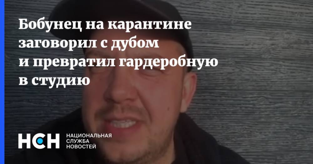 Бобунец на карантине заговорил с дубом и превратил гардеробную в студию - nsn.fm - Россия
