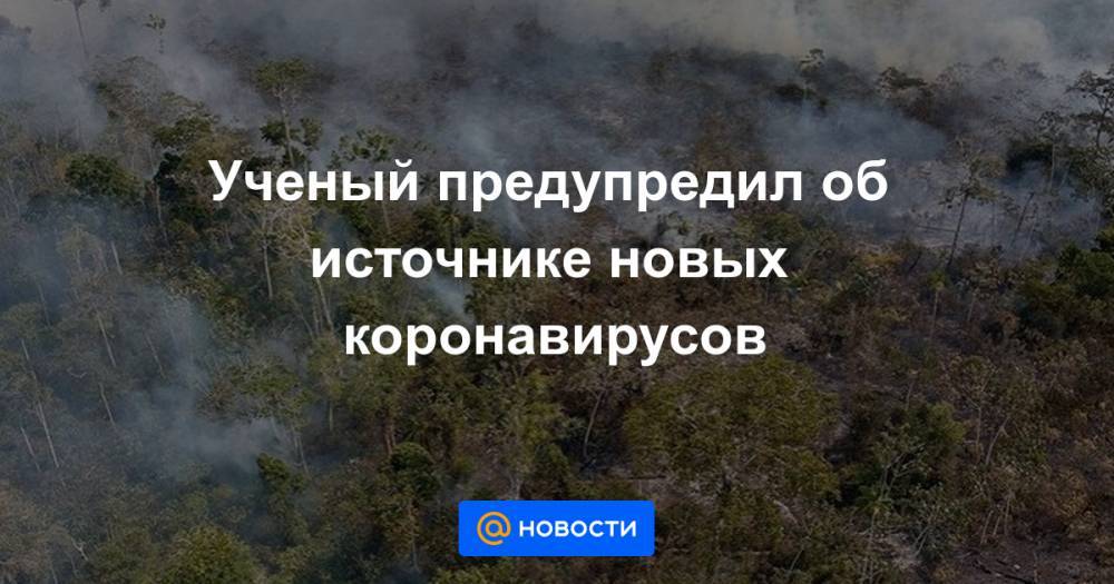 Ученый предупредил об источнике новых коронавирусов - news.mail.ru - Бразилия
