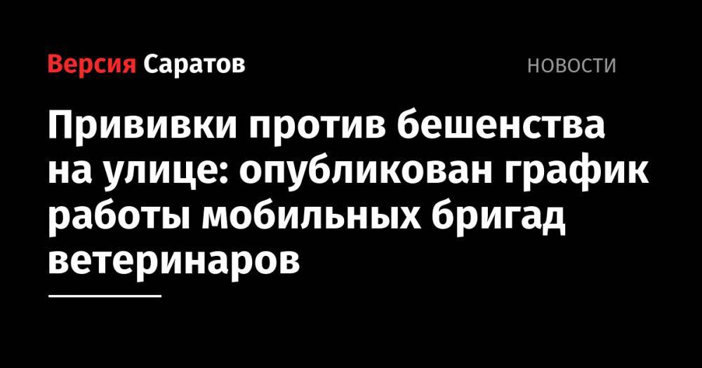 Прививки против бешенства на улице: опубликован график работы мобильных бригад ветеринаров - nversia.ru - Саратовская обл. - Саратов
