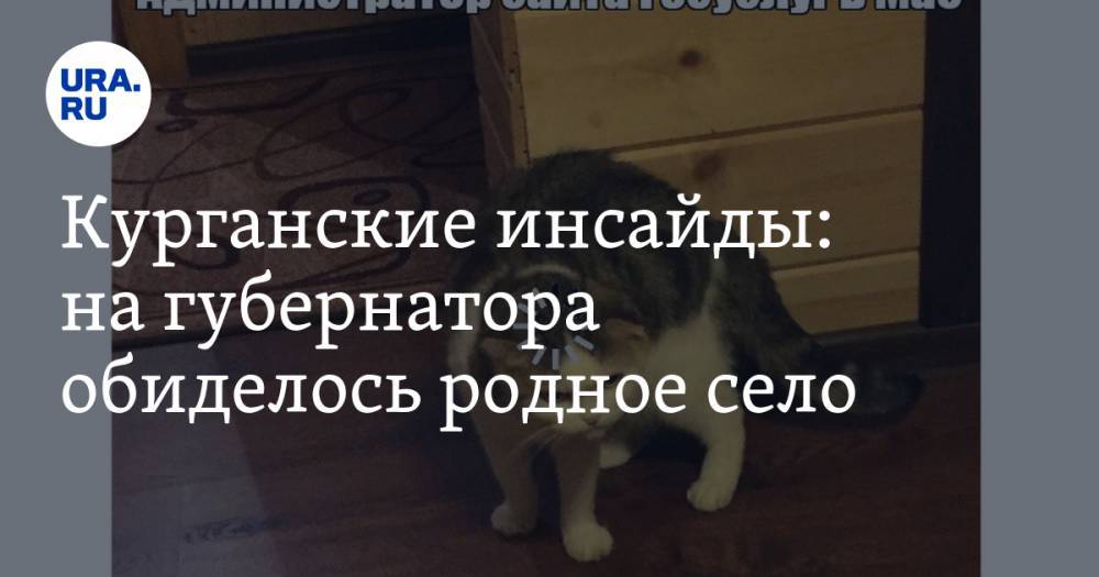 Екатерина Сычкова - Вадим Шумков - Алексей Кокорин - Курганские инсайды: на губернатора обиделось родное село - ura.news - Москва - Курганская обл.