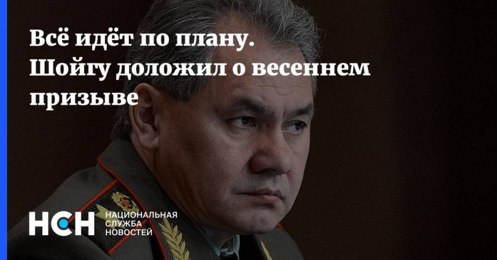 Сергей Шойгу - Владимир Путин - Всё идёт по плану. Шойгу доложил о весеннем призыве - nsn.fm - Россия