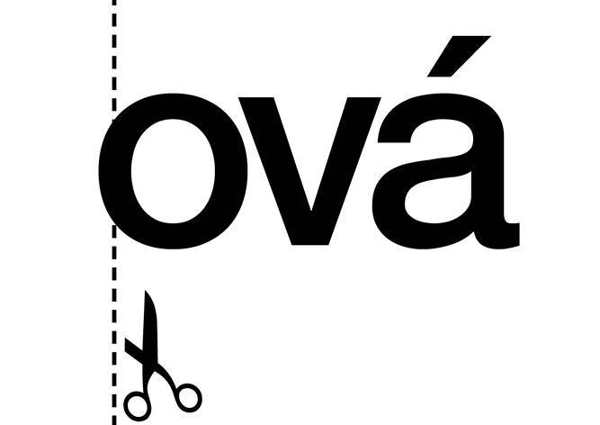 Чешкам могут разрешить не использовать фамильное окончание -ová - vinegret.cz - Чехия