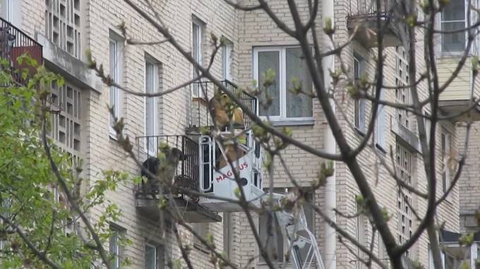 В Петербурге пожарные спасли щенка, которого хозяева заперли на балконе - piter.tv - Санкт-Петербург