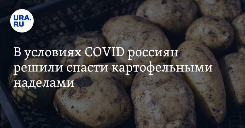 В условиях COVID россиян решили спасти картофельными наделами - ura.news - Россия - Тверская обл.