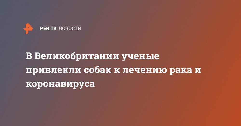 В Великобритании ученые привлекли собак к лечению рака и коронавируса - ren.tv - Англия - Лондон