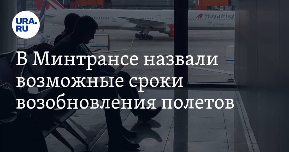 Евгений Дитрих - В Минтрансе назвали возможные сроки возобновления полетов - ura.news - Россия