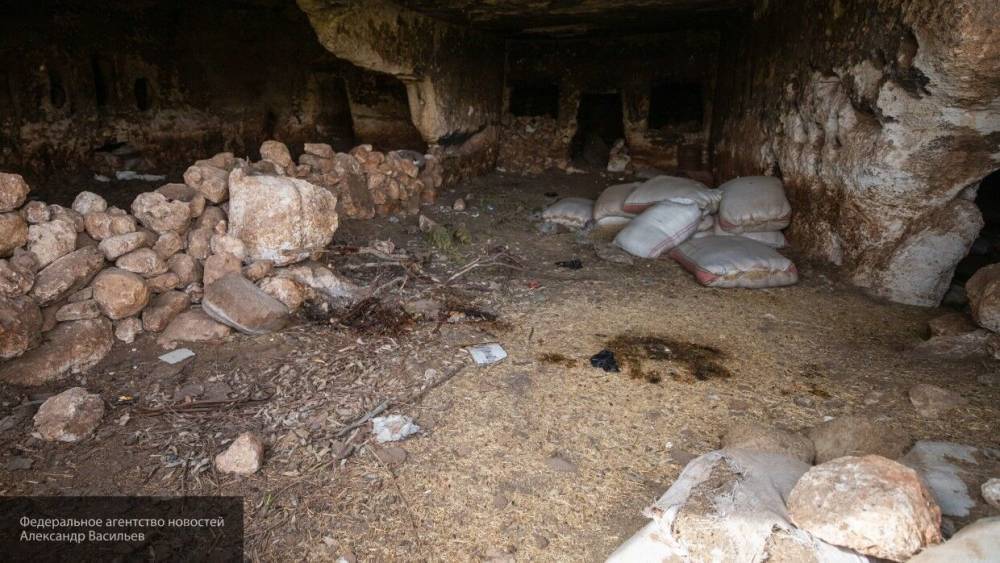 Четверо охотников за сокровищами погибли в пещере в Греции - inforeactor.ru - Греция - Таиланд
