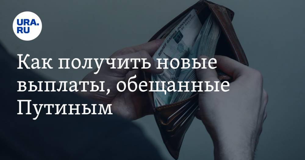 Владимир Путин - Екатерина Сычкова - Владимир Андреев - Как получить новые выплаты, обещанные Путиным - ura.news - Россия
