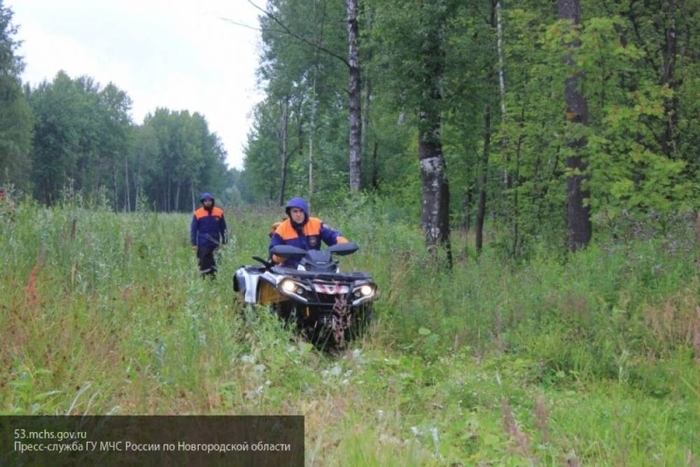 Пропавшего без вести отца трехмесячных двойняшек обнаружили мертвым в Башкирии - nation-news.ru - Башкирия