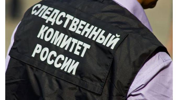 В Петербурге возбуждено уголовное дело по факту обнаружения тел матери и ребенка - piter.tv - Россия - Санкт-Петербург
