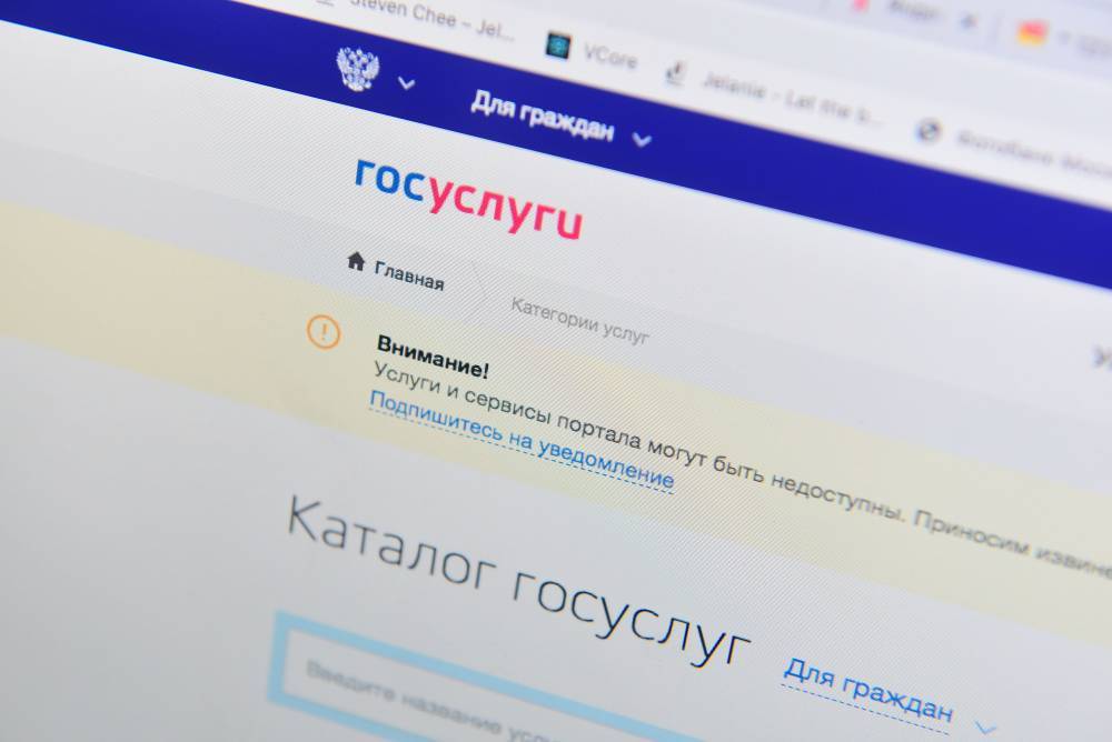 Владимир Путин - Михаил Мишустин - Форму для жалоб врачей об отсутствии выплат создали на сайте госуслуг - vm.ru - Россия