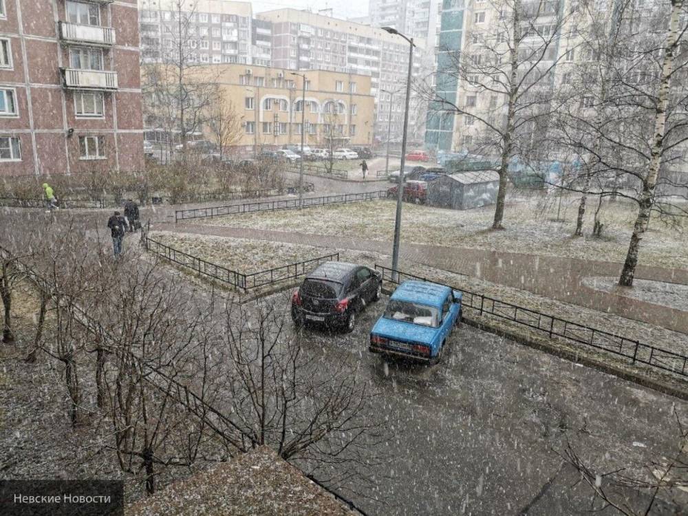 Людмила Паршина - Синоптики назвали причины похолодания в европейской части России - nation-news.ru - Москва - Россия - Московская обл.