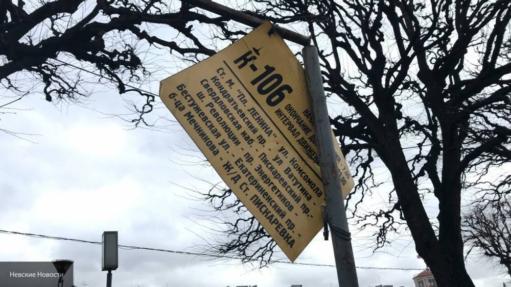 Владислава Грин - В МЧС предупредили петербуржцев о штормовом ветре в ночь на воскресенье - nation-news.ru - Россия - Ленинградская обл. - Петербурга