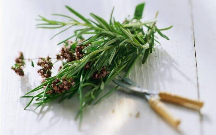 Что нужно съесть, чтобы стать умнее — продукты улучшающие работу мозга - pravda-tv.ru - Англия