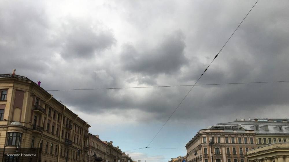 МЧС предупредило петербуржцев об усилении ветра в ближайшие часы - inforeactor.ru - Петербурга