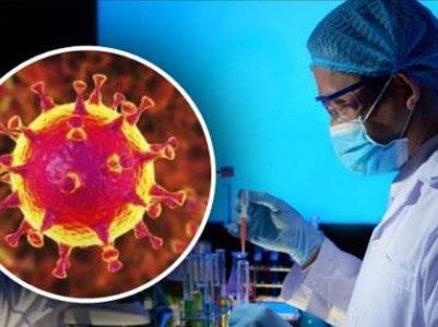 Американские ученые обнаружили антитело на 100 процентов блокирующее коронавирус - news.am - Армения