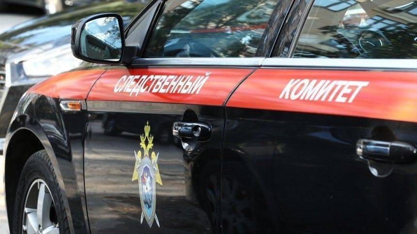Мать подозреваемого в реабилитации нацизма объяснила поступок сына - 5-tv.ru
