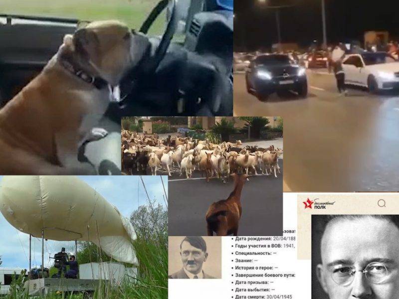 Самые интересные видео дня - bloknot.ru - Москва - Россия - США