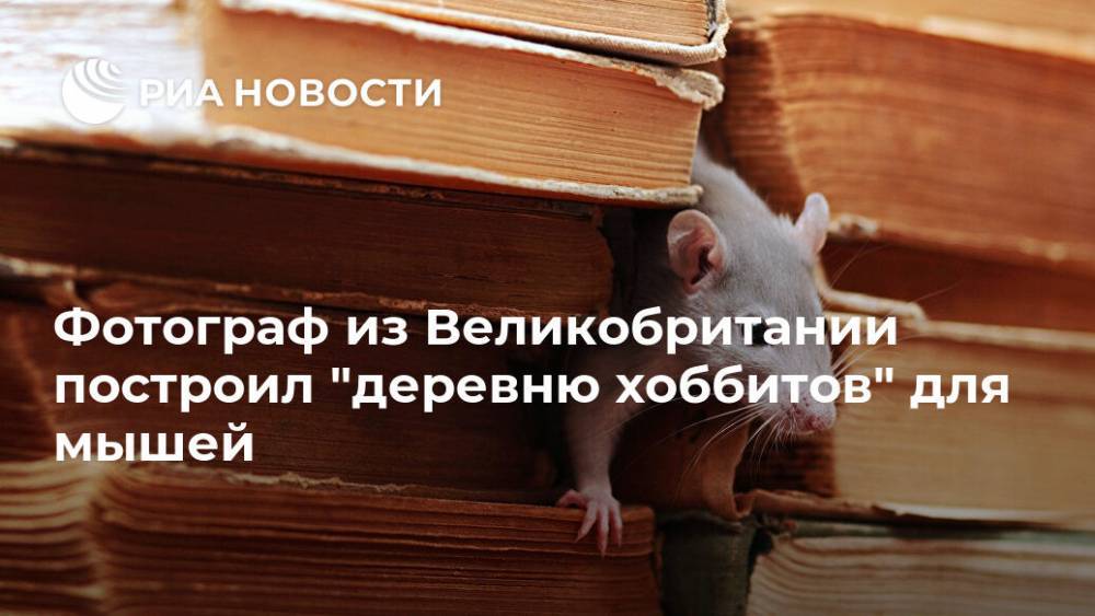 Фотограф из Великобритании построил "деревню хоббитов" для мышей - ria.ru - Москва - Англия - Великобритания