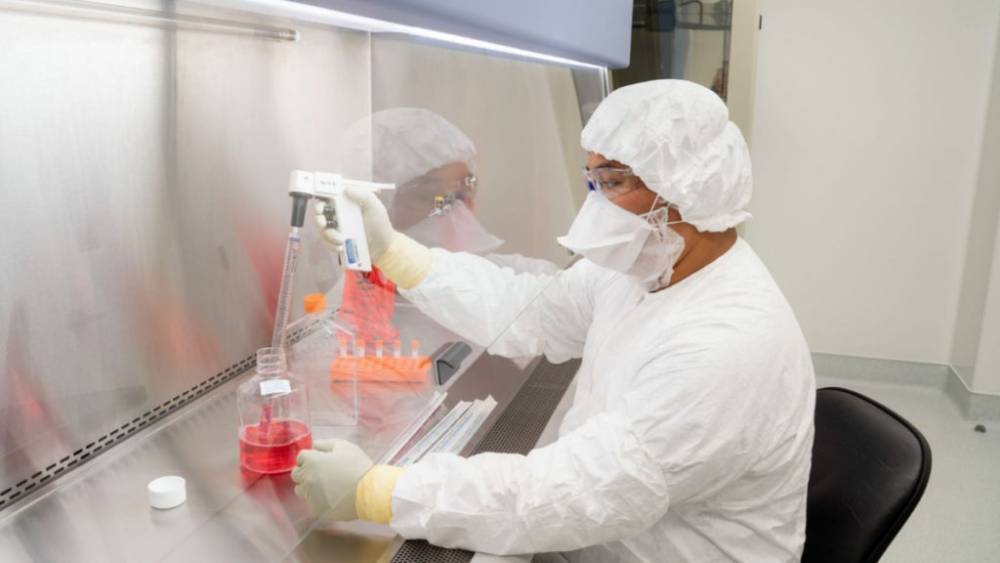 Коронакризис: ученые обнаружили антитела для лечения с 100% результатом. Хроника Covid-19. 17 мая - germania.one - США - Германия - Сан-Диего - шт. Калифорния - Бавария