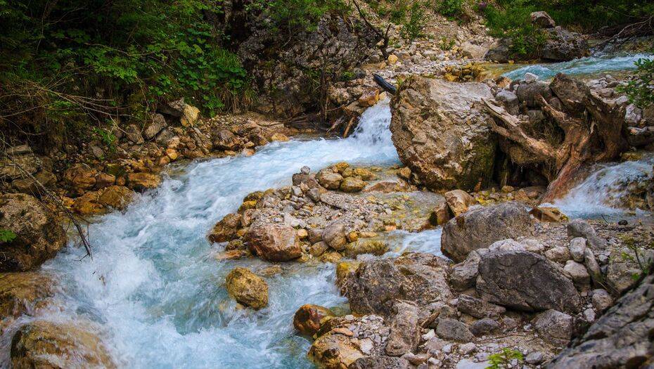 В Туркестанской области прогнозируют подъём уровня воды на реках - informburo.kz - Казахстан - Туркестан