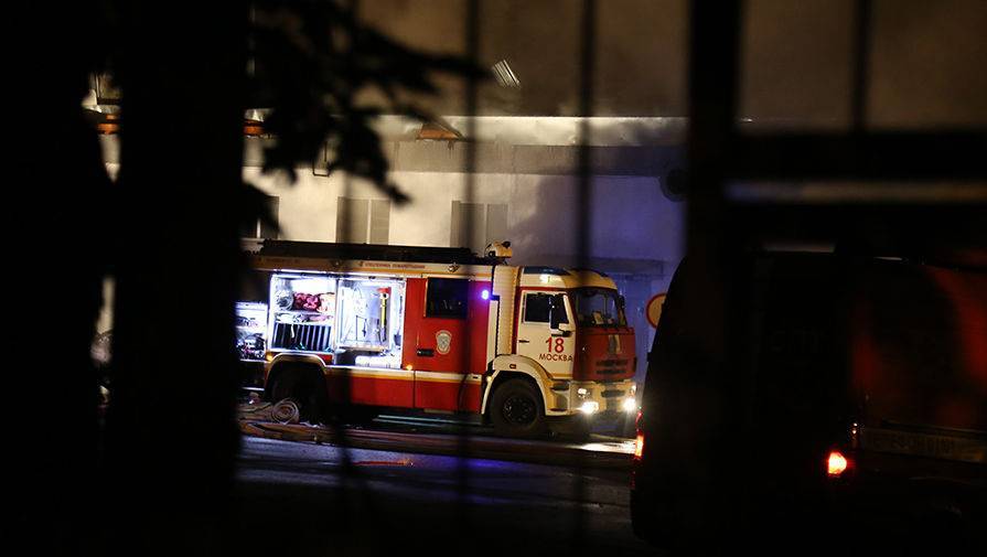 Пожарные спасли трехмесячного щенка из огня - gazeta.ru - Москва - Санкт-Петербург - Париж - Биробиджан