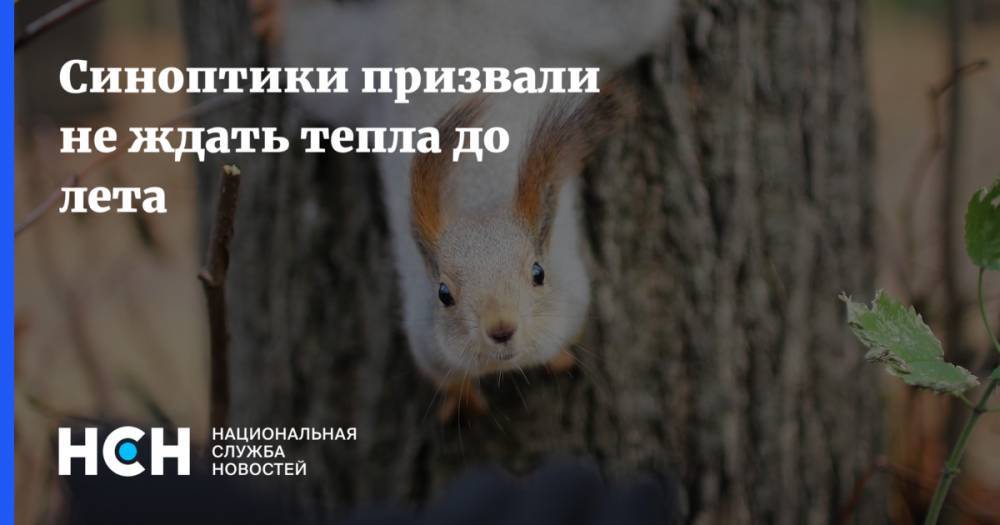 Евгений Тишковец - Роман Вильфанд - Синоптики призвали не ждать тепла до лета - nsn.fm - Россия