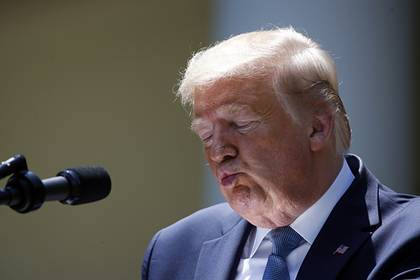 Хакеры опубликовали часть компромата на Трампа - lenta.ru - США - Нью-Йорк