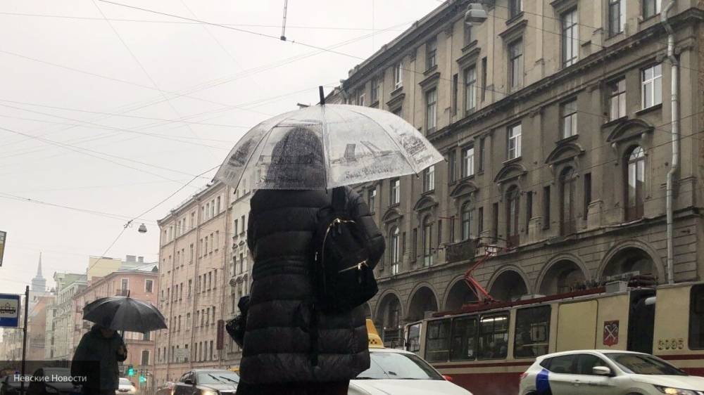 Михаил Леус - Текущий май в Петербурге войдет в тройку самых холодных с начала века - nation-news.ru - Россия - Санкт-Петербург